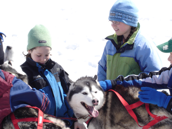 It's hard to say who has more fun at a school visit--the kids or the dogs.